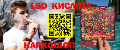 ALPHA PVP Гай