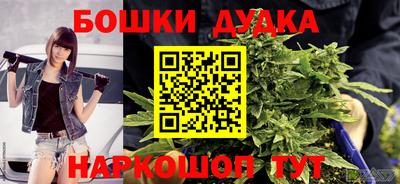 ALPHA PVP Гай