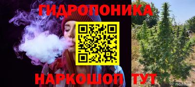 скорость Гагарин