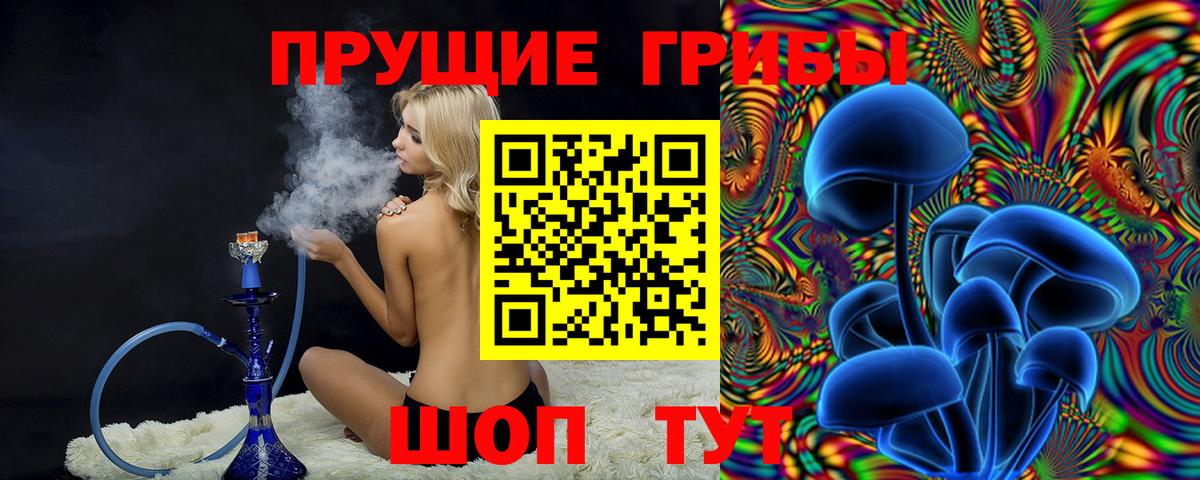 Псилоцибиновые грибы мицелий  Вход с VPN  Орск 
