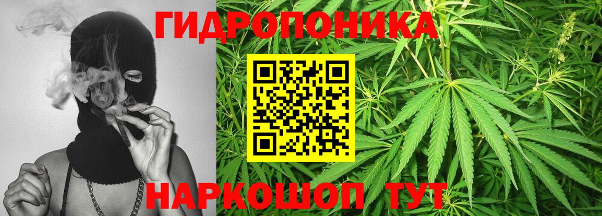 МАРИХУАНА планчик  Шишки марихуана Amnesia  Вход с VPN  Орск 